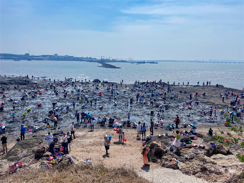青島城陽(yáng)紅島蛤蜊節(jié)啟動(dòng)全域旅游序幕
